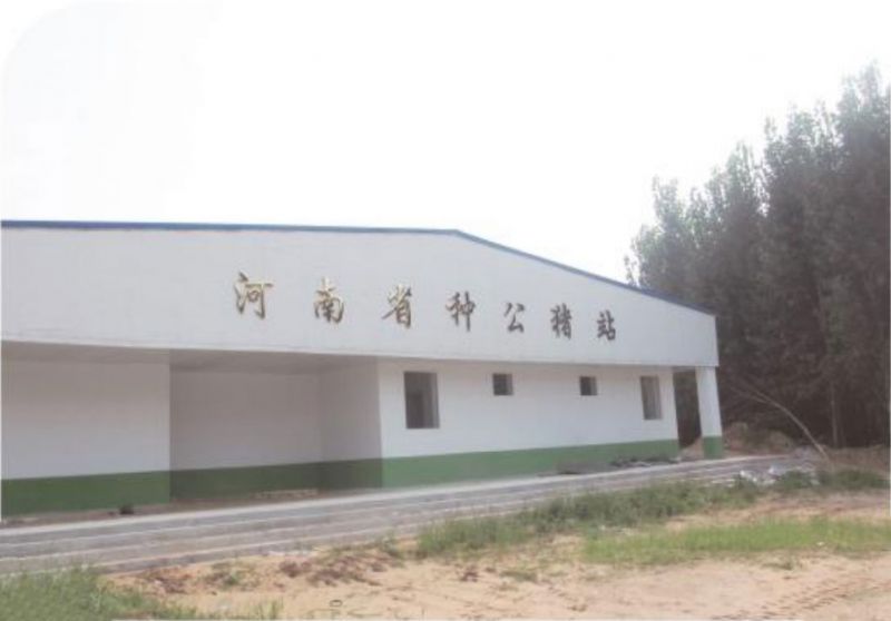 河南省種豬測定中心